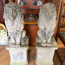 Load image into Gallery viewer, Pair of Stone Garden Lion Statues