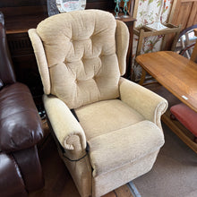 Load image into Gallery viewer, HSL Dual Motor Rise &amp; Recline Chair